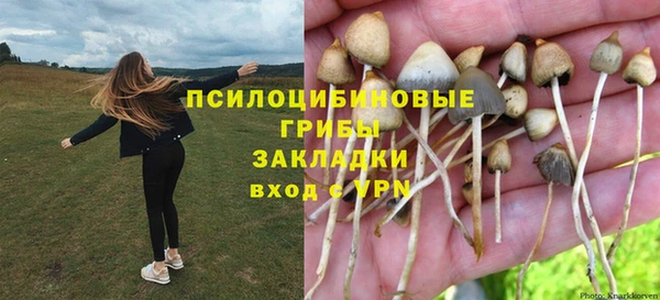 марки nbome Верхний Тагил