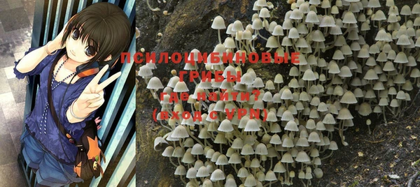 марки nbome Верхний Тагил