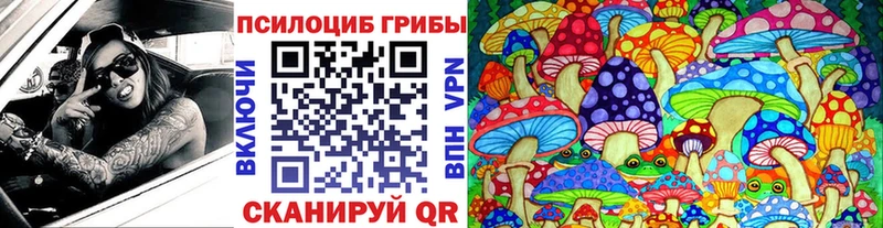 Галлюциногенные грибы Cubensis  Сыктывкар 