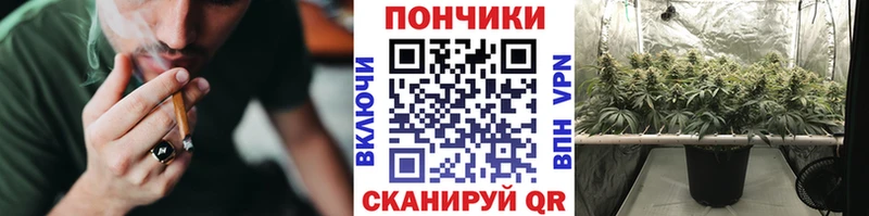 blacksprut зеркало  Сыктывкар  Бошки марихуана SATIVA & INDICA  наркота 